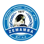 نهضة الزمامرة